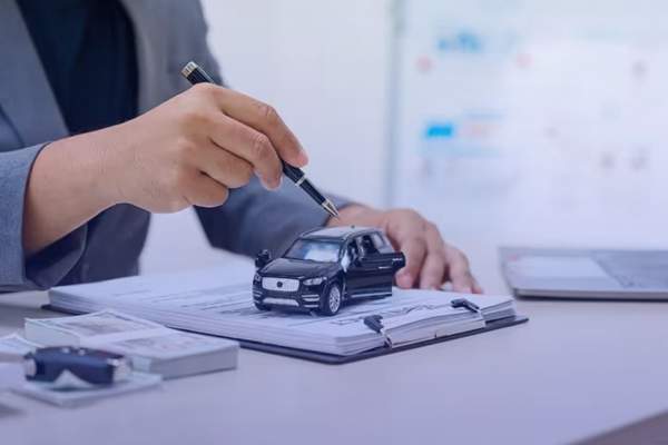 renovacion qualitas