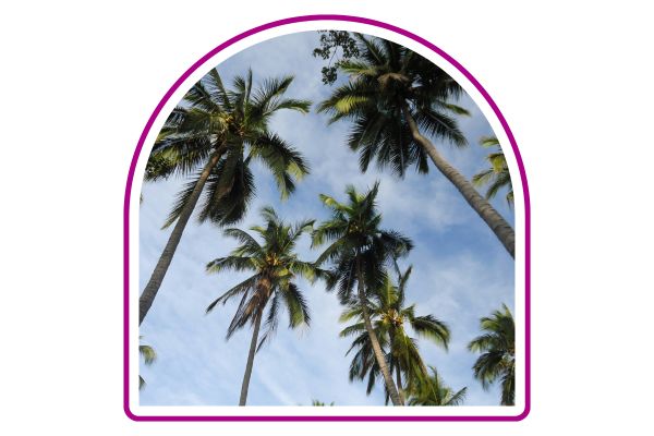 asistencia vial qualitas