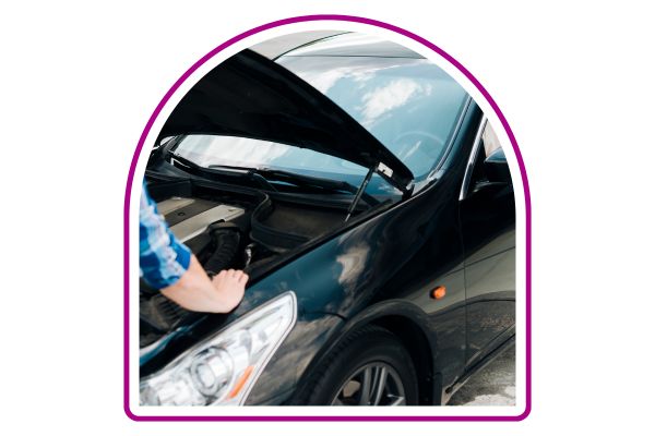 Robo parcial Quálitas