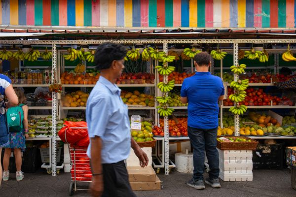 recomendaciones para asegurar tu negocio