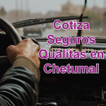 Seguros Quálitas Chetumal